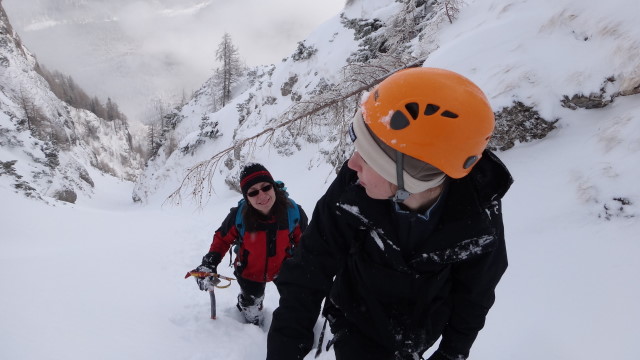 Galbinele sec iarna_blog 47