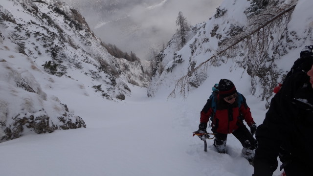 Galbinele sec iarna_blog 48