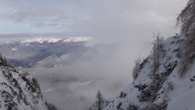 Galbinele sec iarna_blog 49