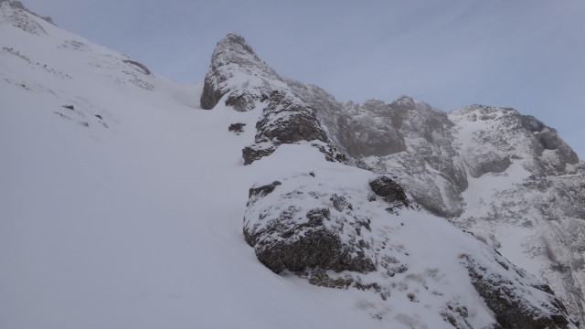 Galbinele sec iarna_blog 51