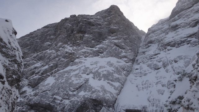 Galbinele sec iarna_blog 53