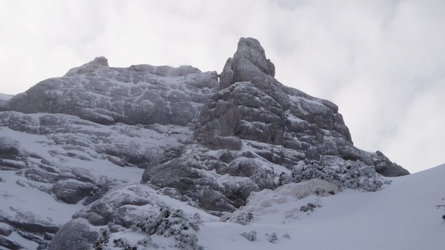 Galbinele sec iarna_blog 54