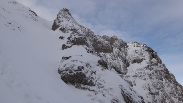 Galbinele sec iarna_blog 55