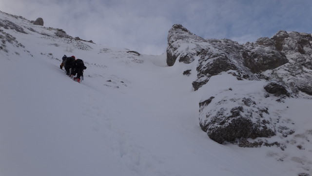 Galbinele sec iarna_blog 56