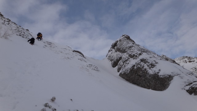 Galbinele sec iarna_blog 57