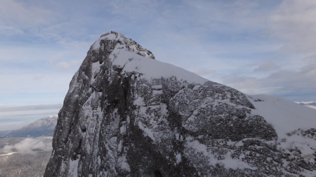 Galbinele sec iarna_blog 61