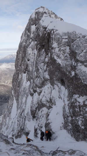 Galbinele sec iarna_blog 62