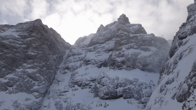 Galbinele sec iarna_blog 63