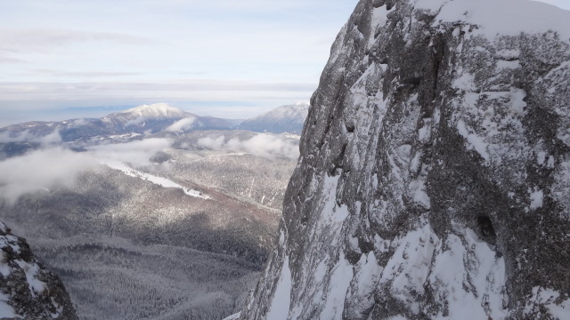 Galbinele sec iarna_blog 65