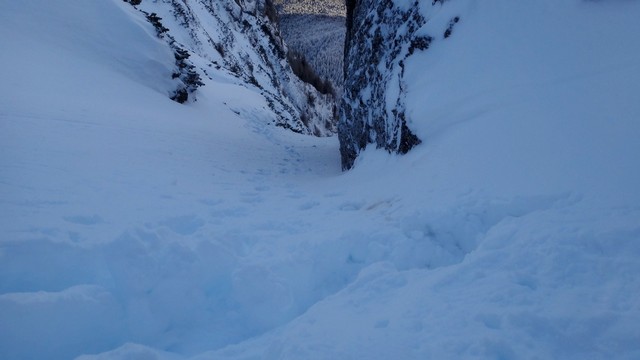 Galbinele sec iarna_blog 67