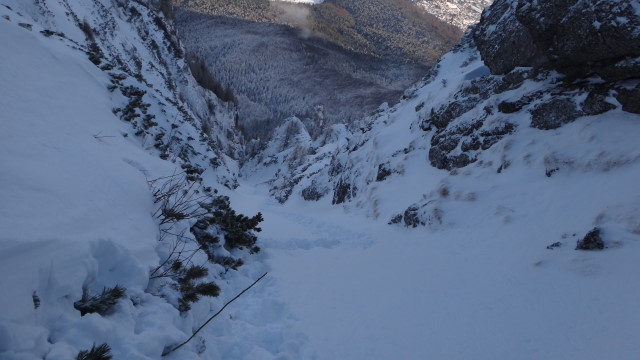 Galbinele sec iarna_blog 69