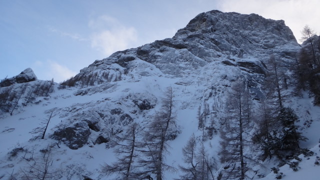 Galbinele sec iarna_blog 71