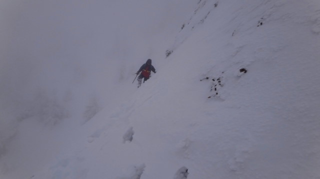 01_Tenacitate_Temerari_Camaraderie _concept