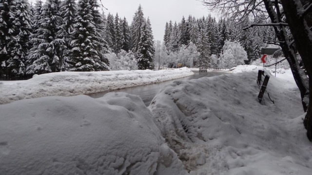 02_Cr Zaganu_Gropsoarele_iarna _blog