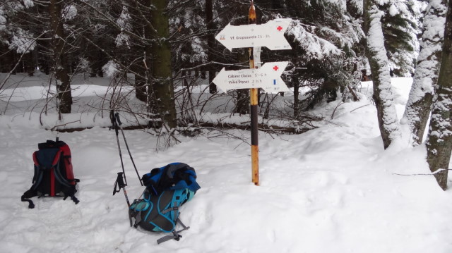 03_Cr Zaganu_Gropsoarele_iarna _blog