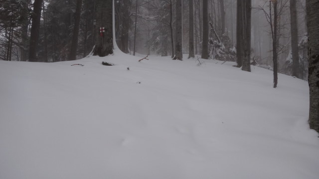 09_Cr Zaganu_Gropsoarele_iarna _blog