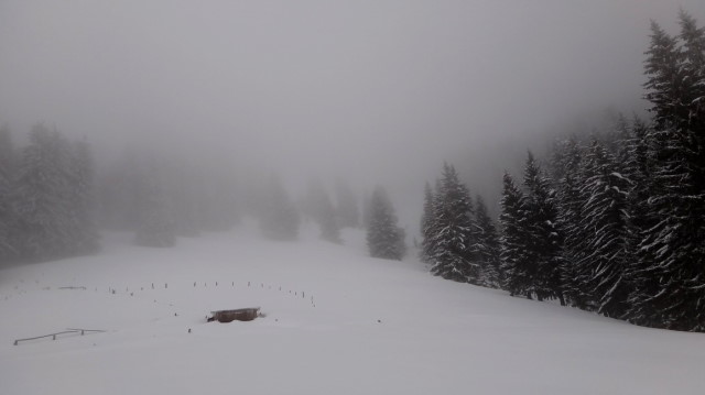 13_Cr Zaganu_Gropsoarele_iarna _blog