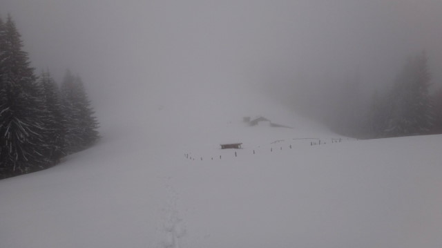 14_Cr Zaganu_Gropsoarele_iarna _blog