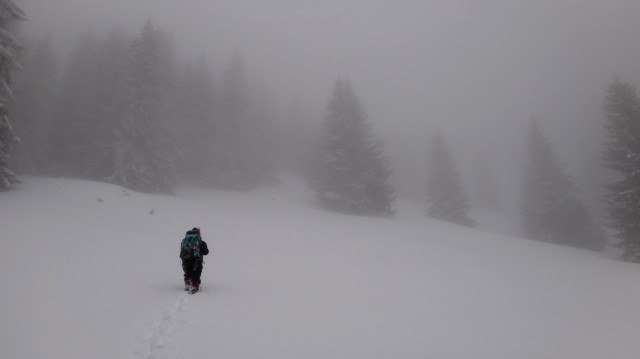 15_Cr Zaganu_Gropsoarele_iarna _blog