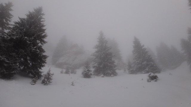 16_Cr Zaganu_Gropsoarele_iarna _blog