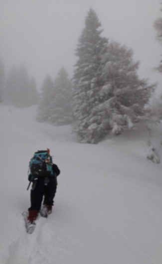 17_Cr Zaganu_Gropsoarele_iarna _blog