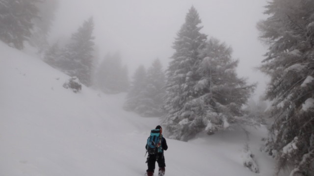 19_Cr Zaganu_Gropsoarele_iarna _blog