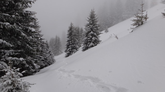 23_Cr Zaganu_Gropsoarele_iarna _blog