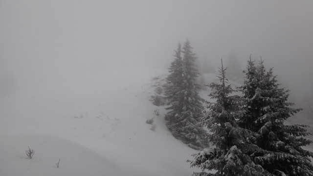 24_Cr Zaganu_Gropsoarele_iarna _blog