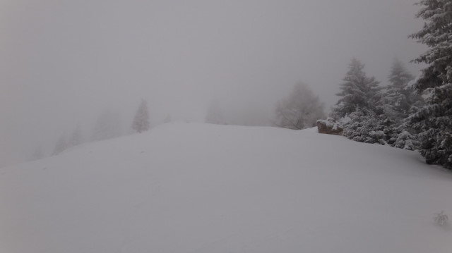 26_Cr Zaganu_Gropsoarele_iarna _blog