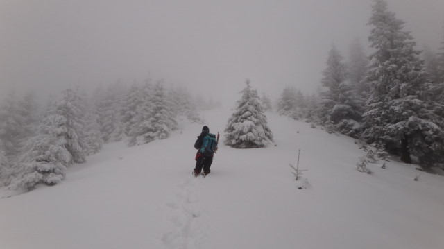 27_Cr Zaganu_Gropsoarele_iarna _blog