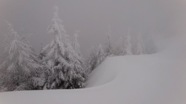 30_Cr Zaganu_Gropsoarele_iarna _blog