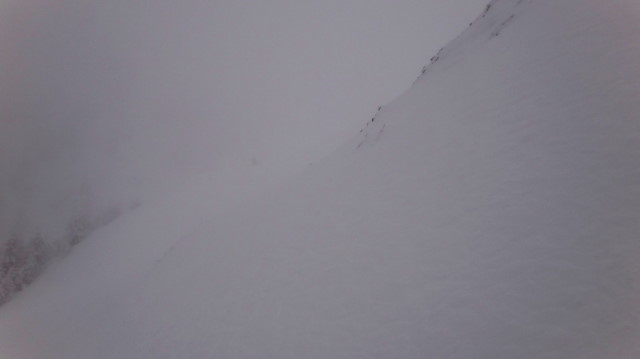 34_Cr Zaganu_Gropsoarele_iarna _blog