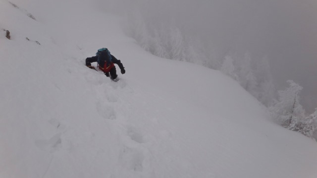 35_Cr Zaganu_Gropsoarele_iarna _blog