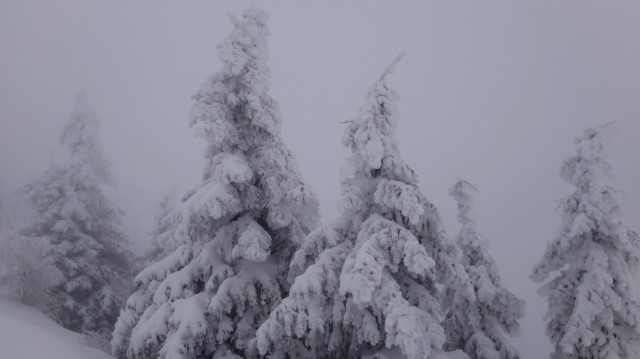 46_Cr Zaganu_Gropsoarele_iarna _blog