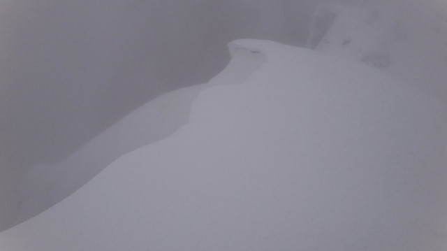 47_Cr Zaganu_Gropsoarele_iarna _blog