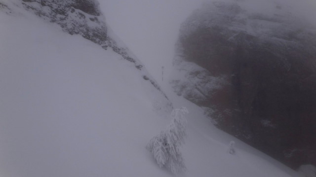 50_Cr Zaganu_Gropsoarele_iarna _blog