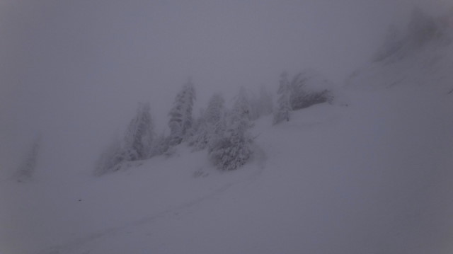 51_Cr Zaganu_Gropsoarele_iarna _blog