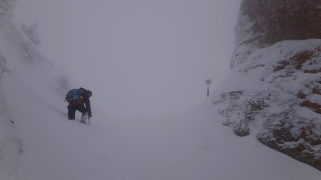 52_Cr Zaganu_Gropsoarele_iarna _blog