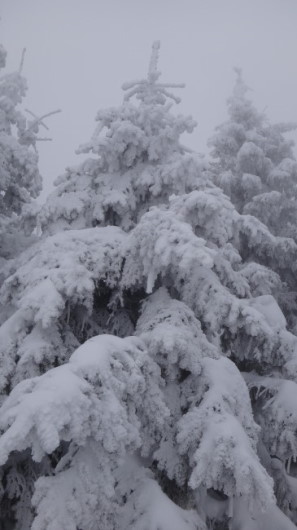 60_Cr Zaganu_Gropsoarele_iarna _blog