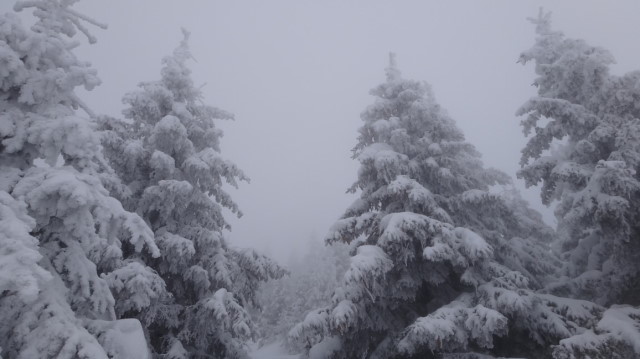 62_Cr Zaganu_Gropsoarele_iarna _blog