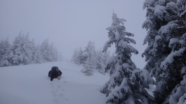 63_Cr Zaganu_Gropsoarele_iarna _blog