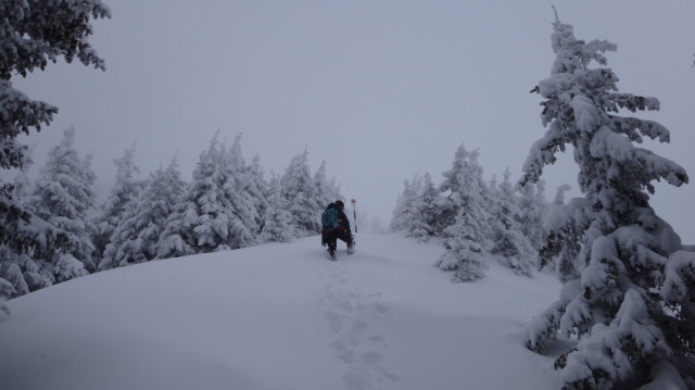 66_Cr Zaganu_Gropsoarele_iarna _blog