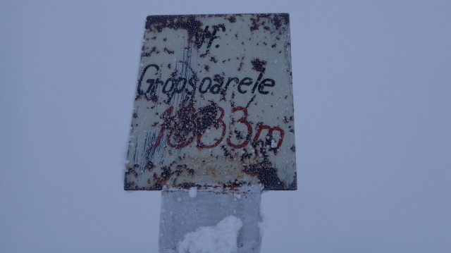 74_Cr Zaganu_Gropsoarele_iarna _blog