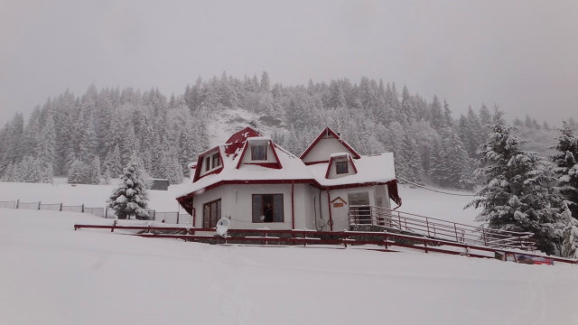 78_Cr Zaganu_Gropsoarele_iarna _blog