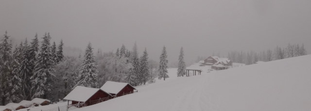 79_Cr Zaganu_Gropsoarele_iarna _blog