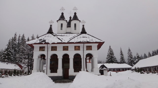 84_Cr Zaganu_Gropsoarele_iarna _blog