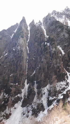 01qq Albisoara Strungii_iarna _blog