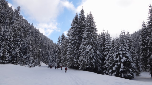 01qq Moeciu_Strunga_Padina_iarna _blog