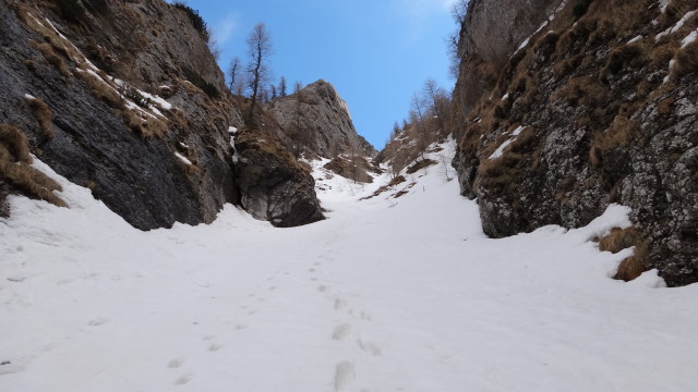 02qq Albisoara Turnurilor_iarna _blog