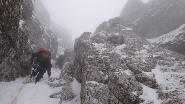 03qq Albisoara Gemenelor_iarna _blog